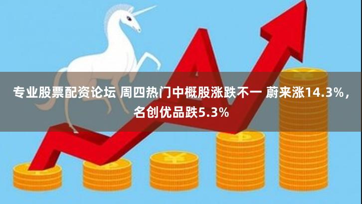 专业股票配资论坛 周四热门中概股涨跌不一 蔚来涨14.3%，名创优品跌5.3%