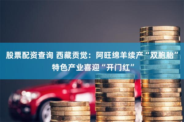 股票配资查询 西藏贡觉：阿旺绵羊续产“双胞胎” 特色产业喜迎“开门红”