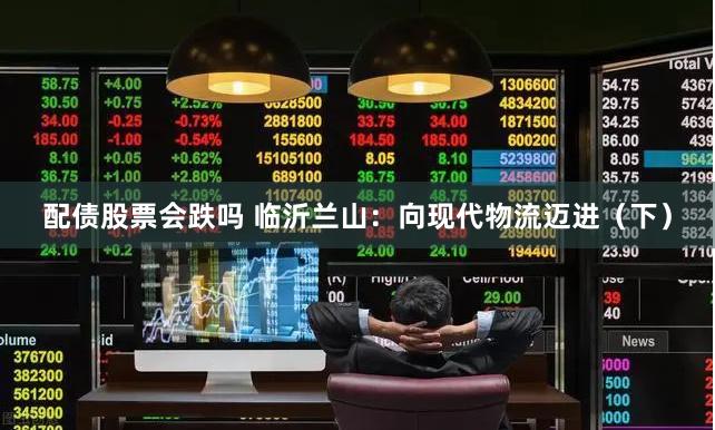 配债股票会跌吗 临沂兰山：向现代物流迈进（下）